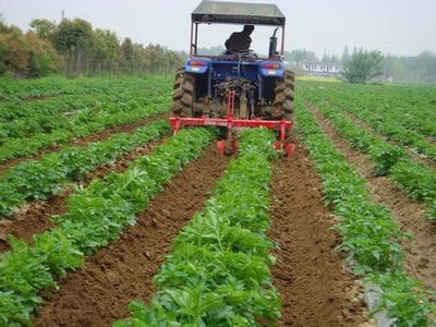 我国如何推进蔬菜农业机械化又好又快生产?_农机通讯社