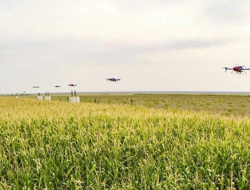 无人机应用在农业生产管理上