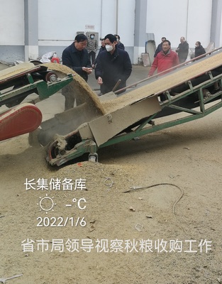 省马三九副局长赴六安市督导调研冬季粮油安全大检查和秋粮收购工作