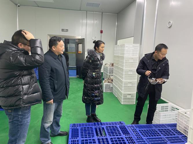 应急信访处对重庆市农业生产资料集团有限公司和重庆市农产品集团有限